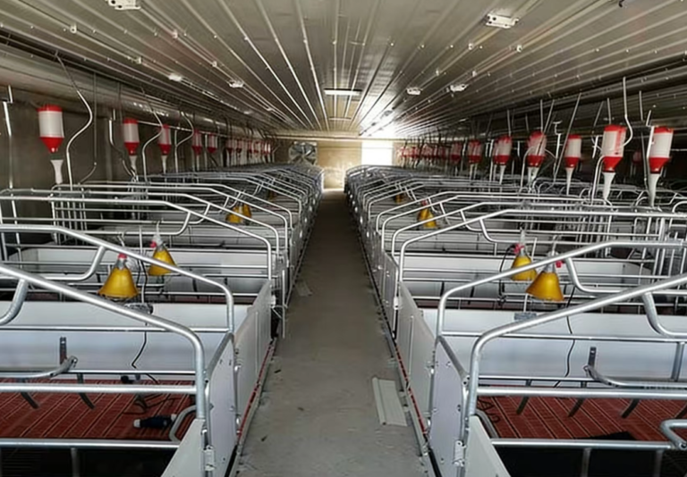 1f59b6db-198e-4160-84b6-4b6172a28451