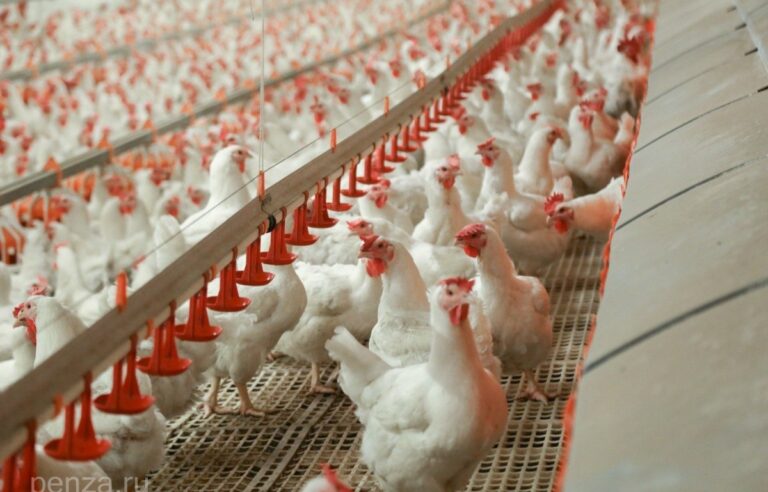 625007272_122208363434291208_5972735254630805325_n