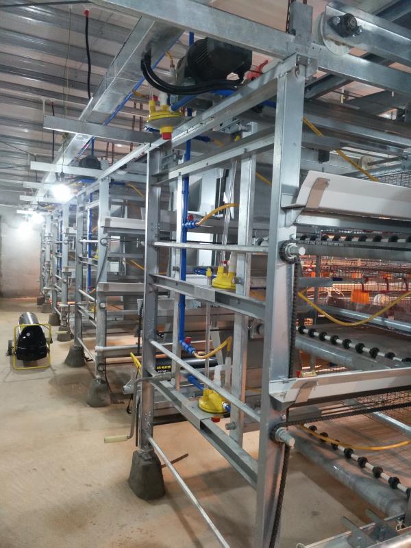 微信图片_20180530112948