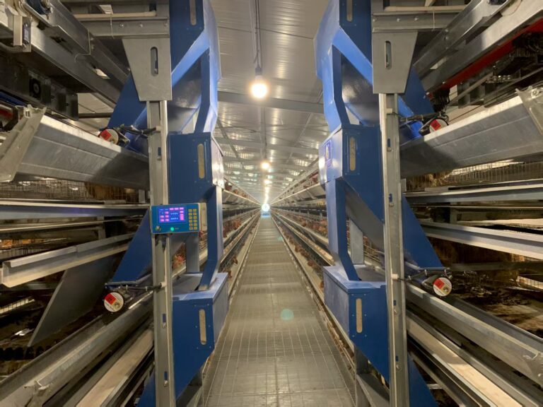 微信图片_2025-08-22_132508_233