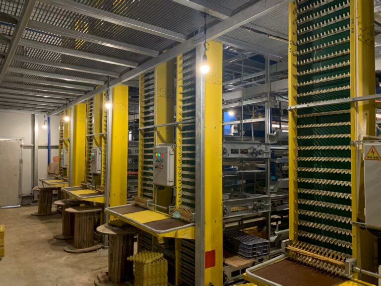 微信图片_2025-08-22_132536_354